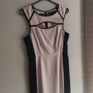 BCBG Dress